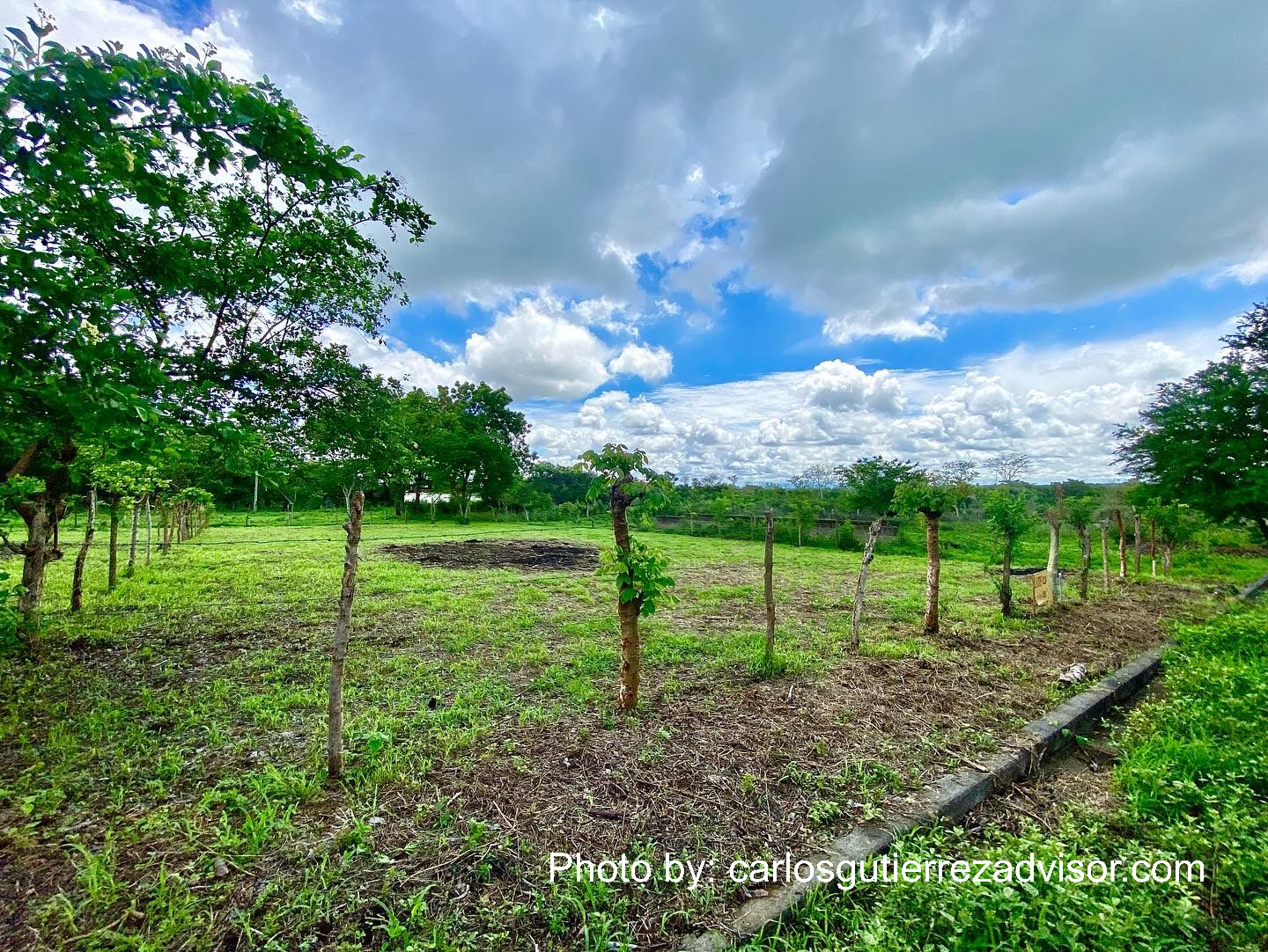 WhatsApp-Image-2022-06-09-at-8.12.34-AM