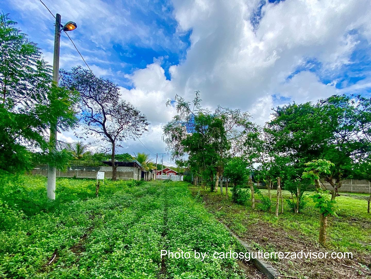 WhatsApp-Image-2022-06-09-at-8.12.41-AM-1