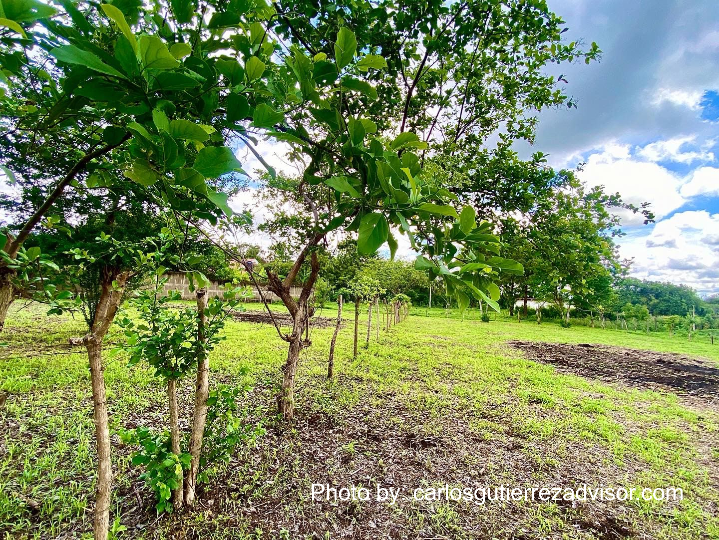 WhatsApp-Image-2022-06-09-at-8.12.41-AM