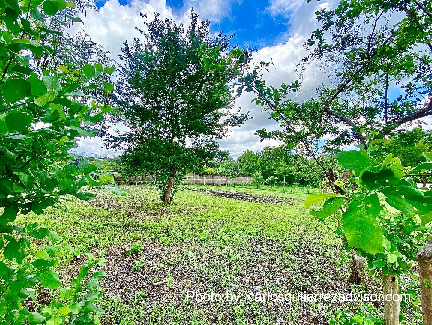 WhatsApp-Image-2022-06-09-at-8.12.42-AM-3